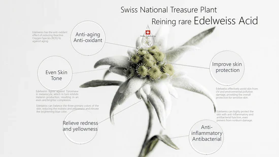 Bloobeac® Blemish Removing Beauty Cream image Bloobeac® Blemish Removing Beauty Cream